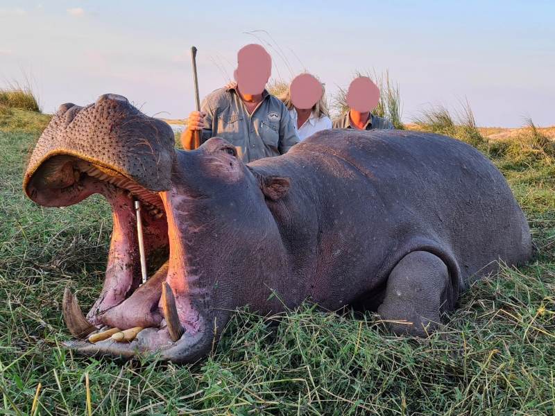 Leopard Hunting in Namibia & Brown Hyena Cancelation Hunt