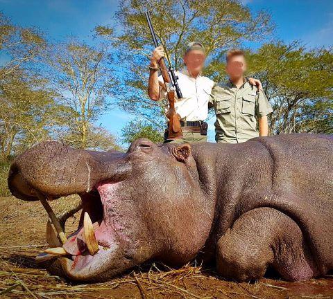 Leopard Hunting in Namibia & Brown Hyena Cancelation Hunt