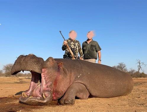 Hippo Hunting Safari 8 x Nights Limpopo, South Africa