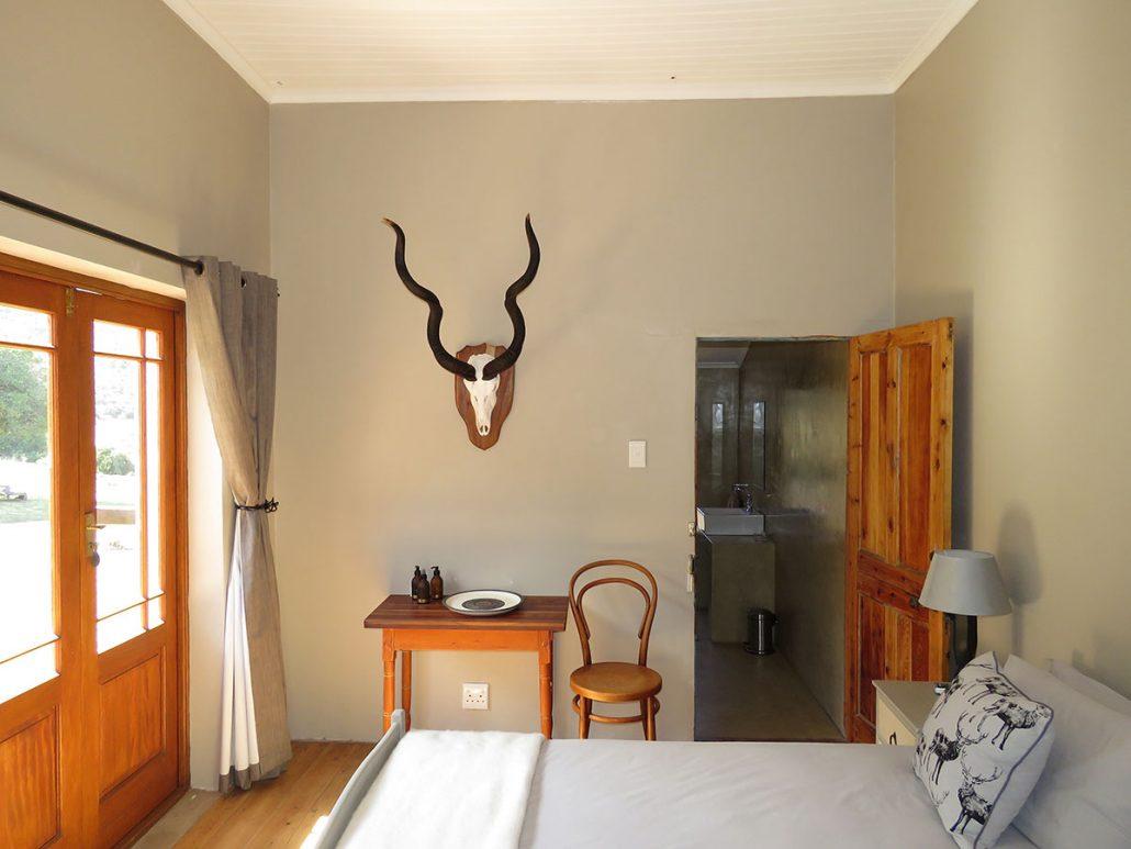 Leopard Hunting in Namibia & Brown Hyena Cancelation Hunt