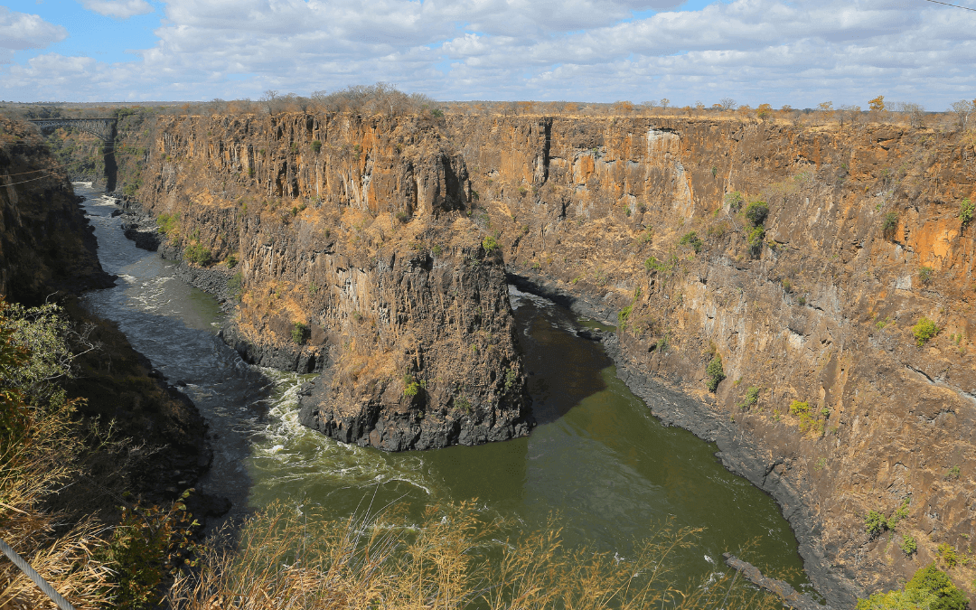 Hunting Bushpig in Zambia
