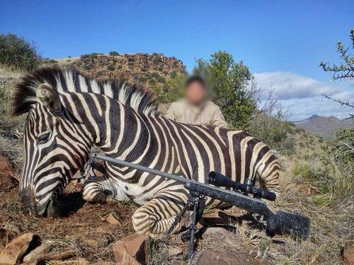 How Much Does A 10 Day African Safari Cost? Game Hunting Safari Prices & Guide For US Travelers