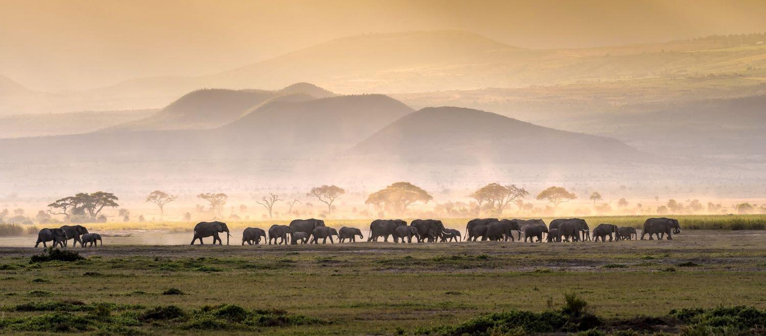 Ethical Safari Hunting In Africa: A Guide For Enthusiasts