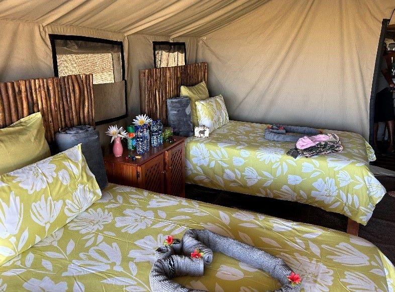 Hunting Lodges In Namibia: Where Luxury Meets Adventure