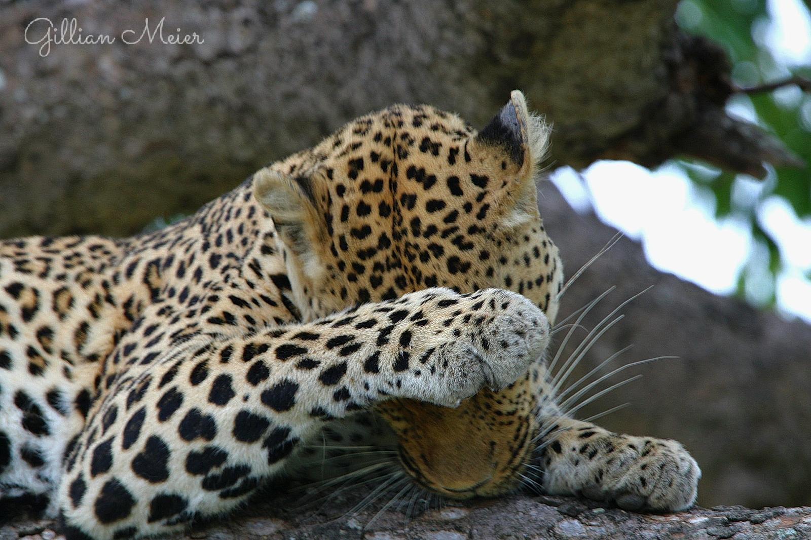 Privacy And Cookie Policy