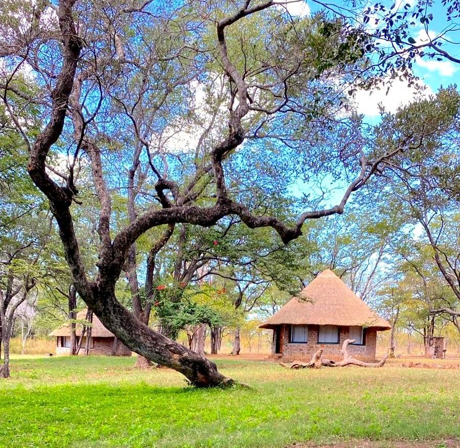 Leopard Hunting in Namibia & Brown Hyena Cancelation Hunt