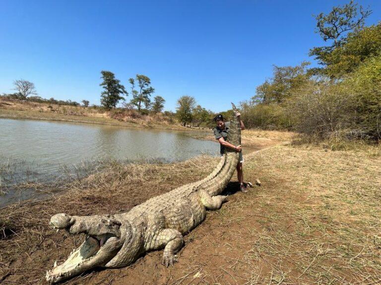 Crocodile Hunting In Mozambique – Methods, Mounts & Trophies