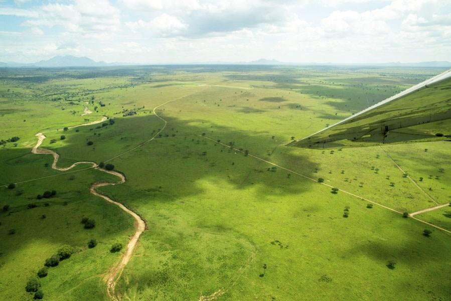 Leopard Hunting in Namibia & Brown Hyena Cancelation Hunt