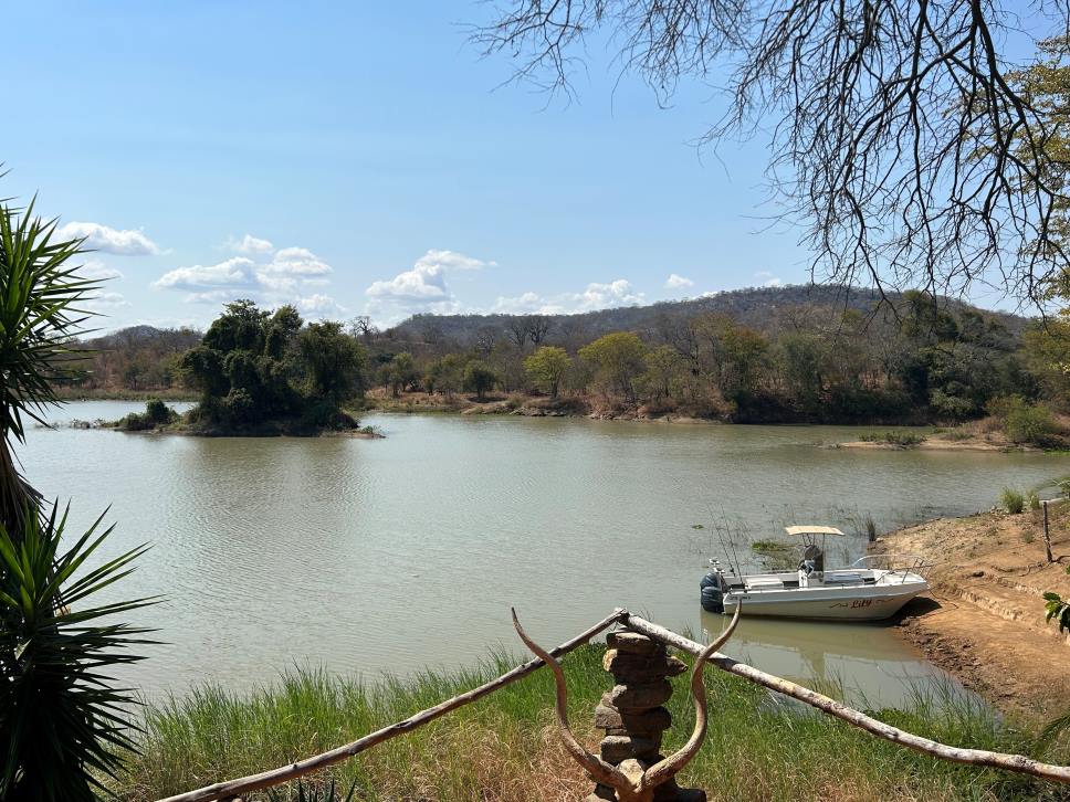 Crocodile Hunting In Mozambique: Is It Worth It?