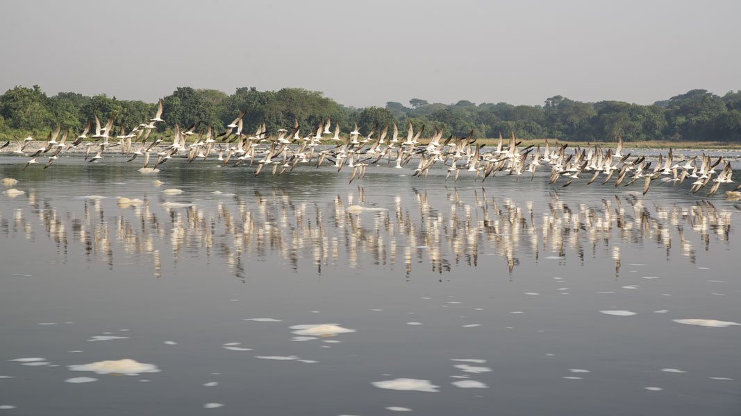 Leopard Hunting in Namibia & Brown Hyena Cancelation Hunt