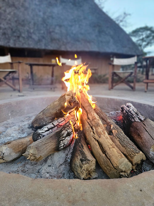 Leopard Hunting in Namibia & Brown Hyena Cancelation Hunt