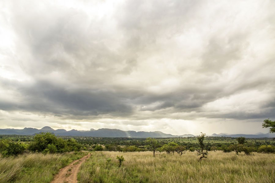 Leopard Hunting in Namibia & Brown Hyena Cancelation Hunt