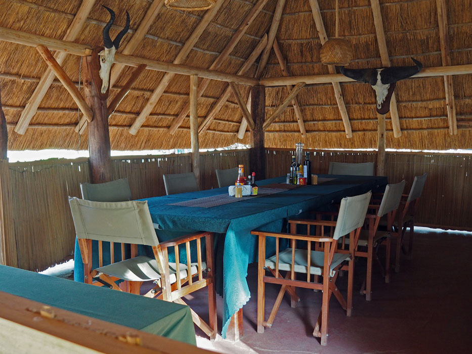 Leopard Hunting in Namibia & Brown Hyena Cancelation Hunt