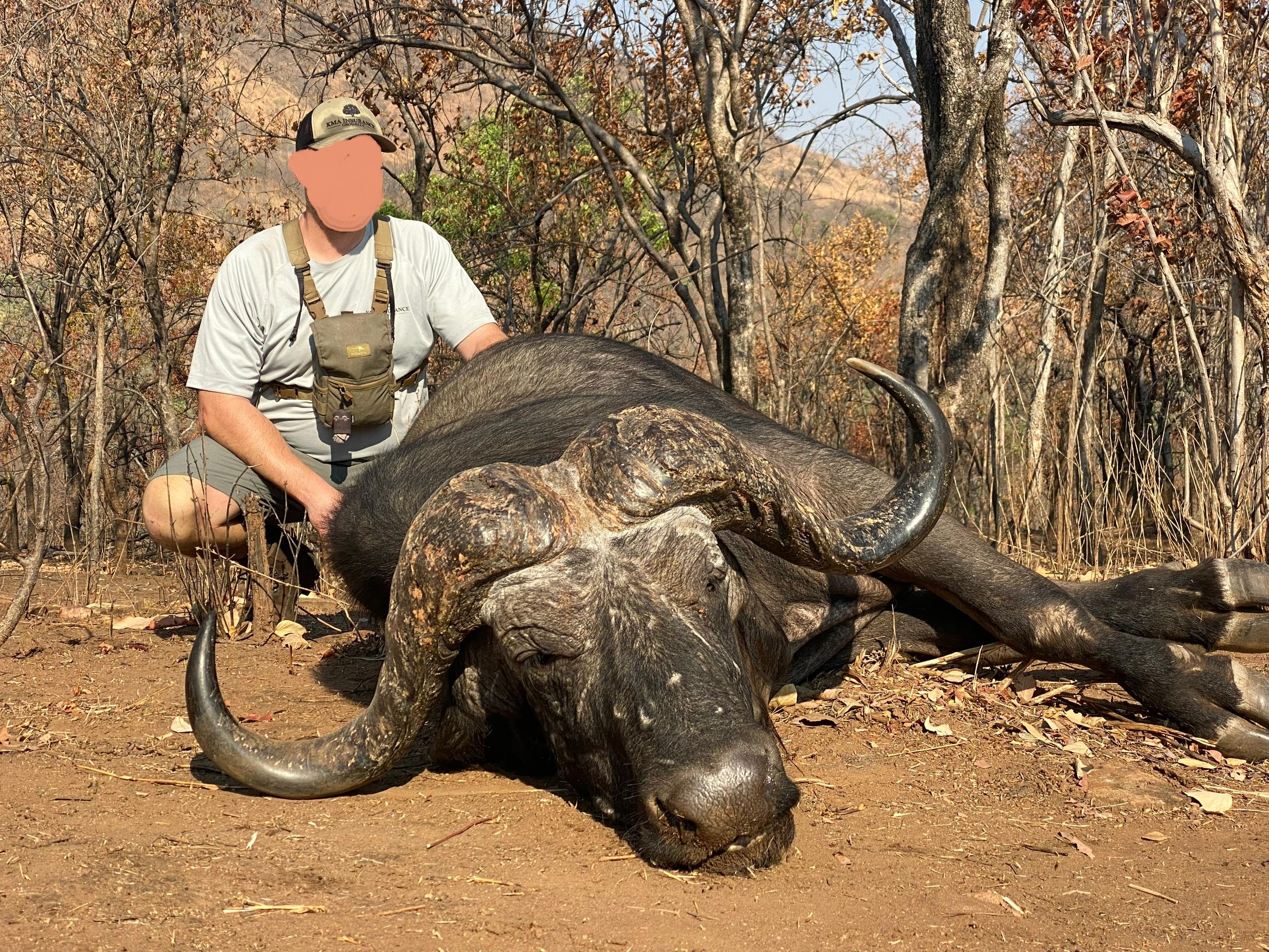 Cape Buffalo Hunting in Zimbabwe 7 x Days in Makuti
