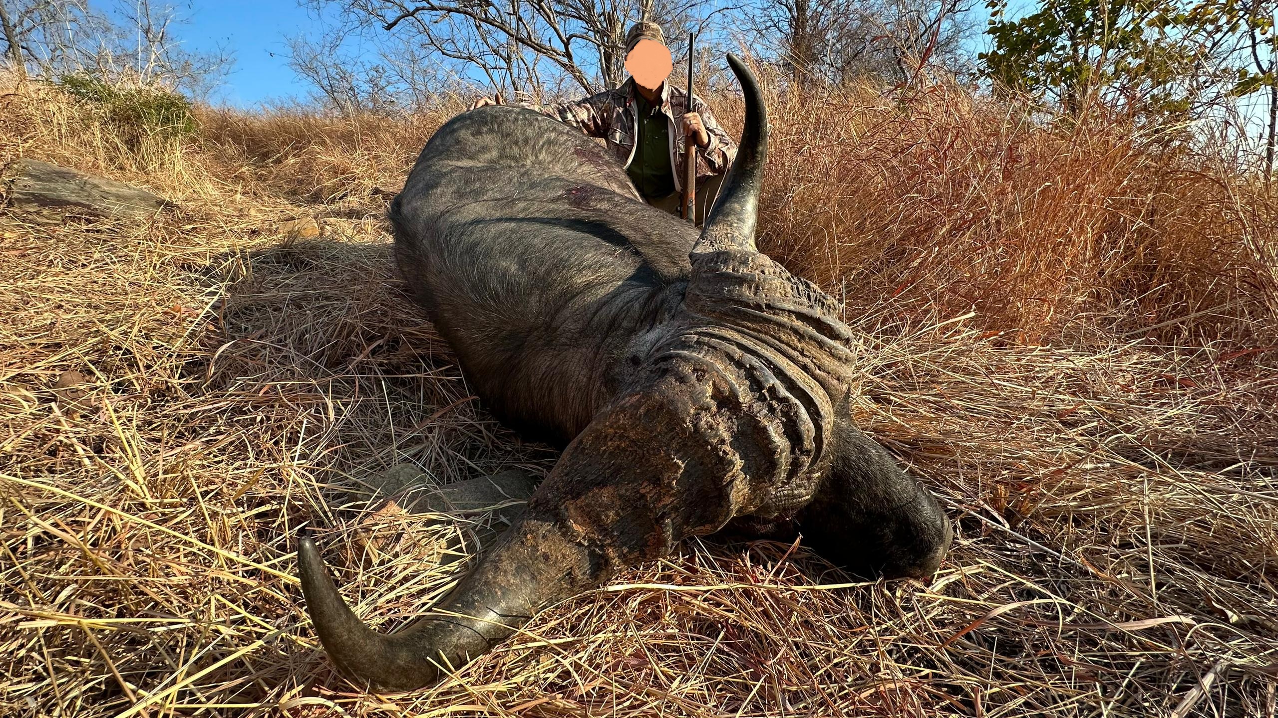 Leopard Hunting in Namibia & Brown Hyena Cancelation Hunt