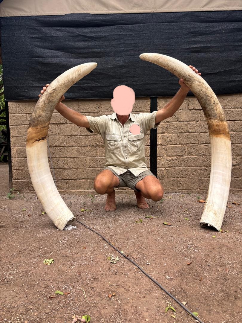 Leopard Hunting in Namibia & Brown Hyena Cancelation Hunt