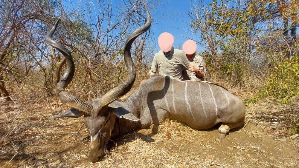 Leopard Hunting in Namibia & Brown Hyena Cancelation Hunt