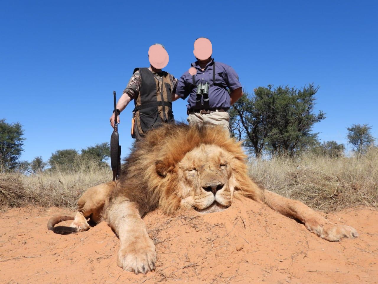 Leopard Hunting in Namibia & Brown Hyena Cancelation Hunt