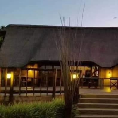 Leopard Hunting in Namibia & Brown Hyena Cancelation Hunt