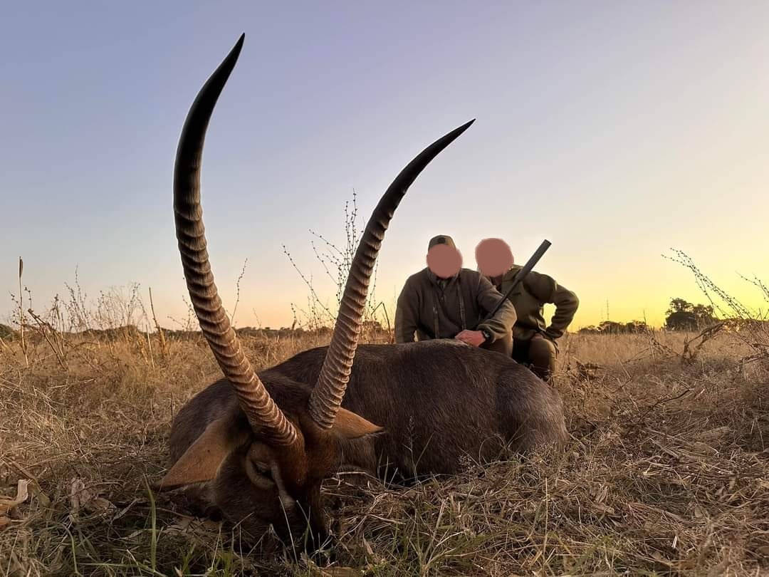 Leopard Hunting in Namibia & Brown Hyena Cancelation Hunt