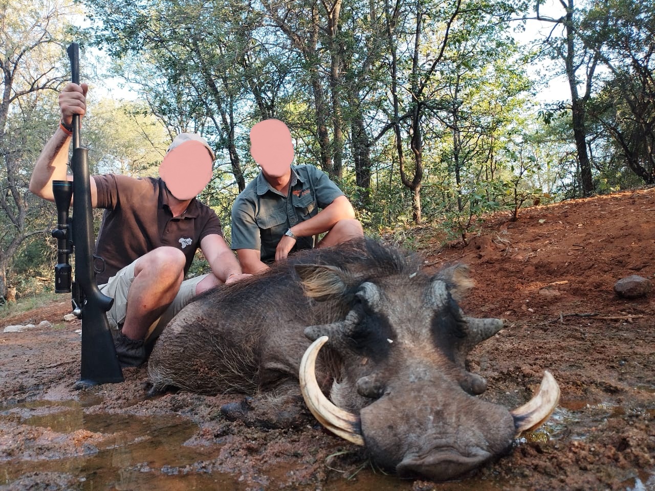 Leopard Hunting in Namibia & Brown Hyena Cancelation Hunt