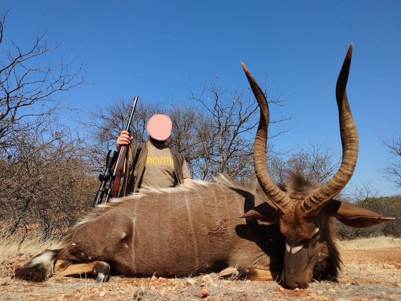 Leopard Hunting in Namibia & Brown Hyena Cancelation Hunt