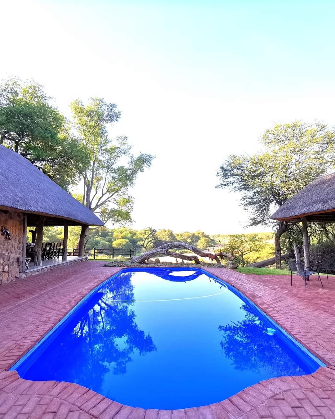 Leopard Hunting in Namibia & Brown Hyena Cancelation Hunt