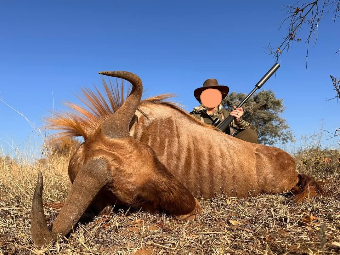 Leopard Hunting in Namibia & Brown Hyena Cancelation Hunt