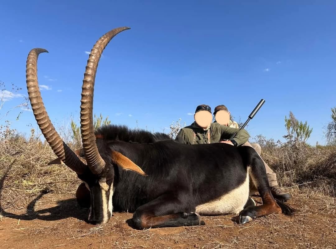 Leopard Hunting in Namibia & Brown Hyena Cancelation Hunt