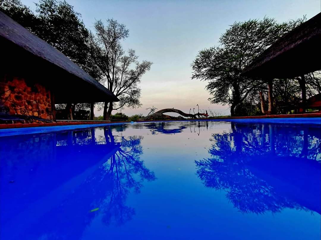 Leopard Hunting in Namibia & Brown Hyena Cancelation Hunt