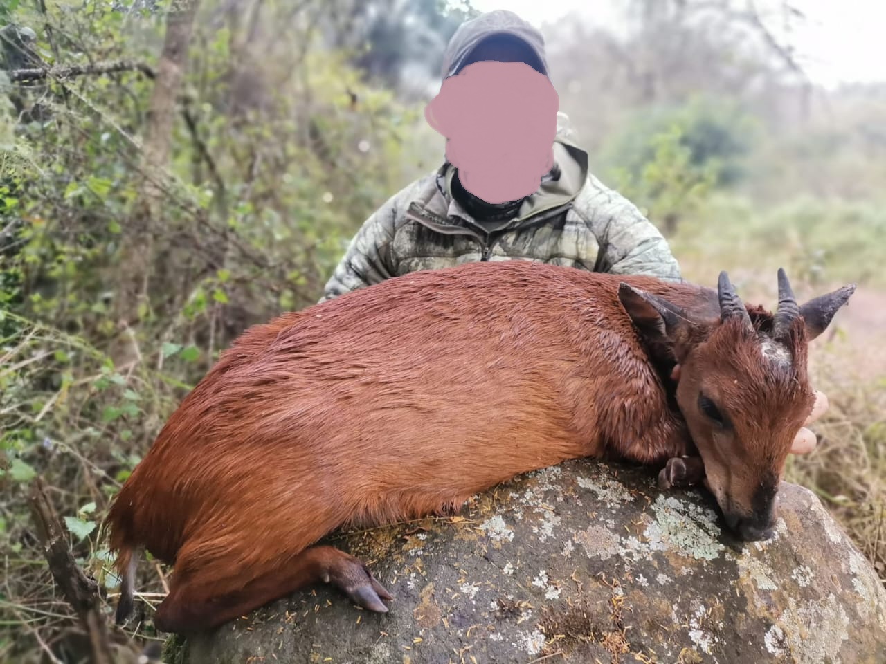 Leopard Hunting in Namibia & Brown Hyena Cancelation Hunt