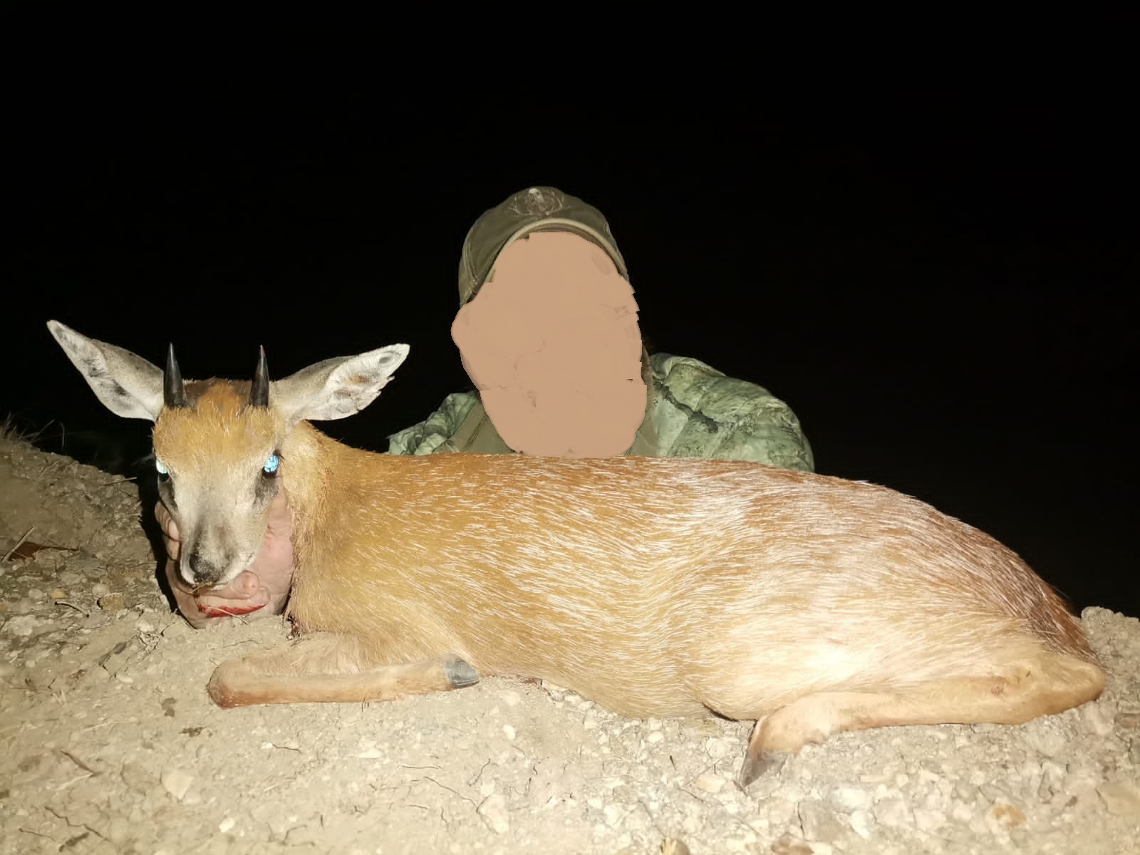 Leopard Hunting in Namibia & Brown Hyena Cancelation Hunt