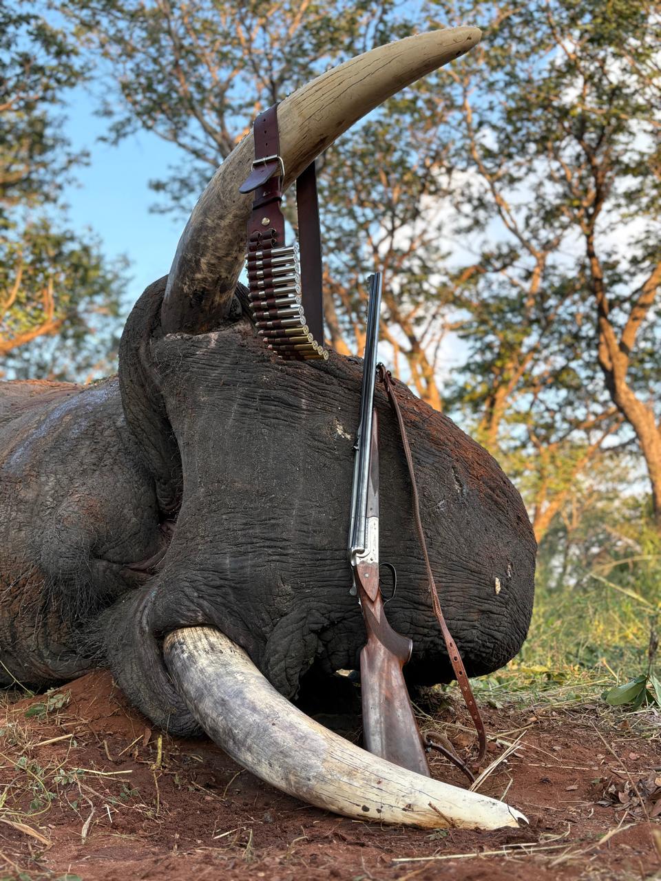 Leopard Hunting in Namibia & Brown Hyena Cancelation Hunt