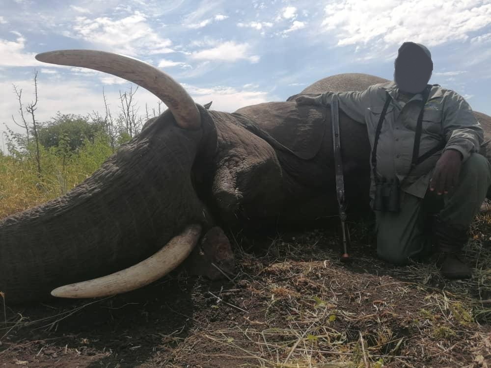 Leopard Hunting in Namibia & Brown Hyena Cancelation Hunt