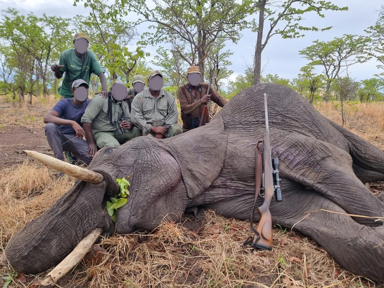 Leopard Hunting in Namibia & Brown Hyena Cancelation Hunt