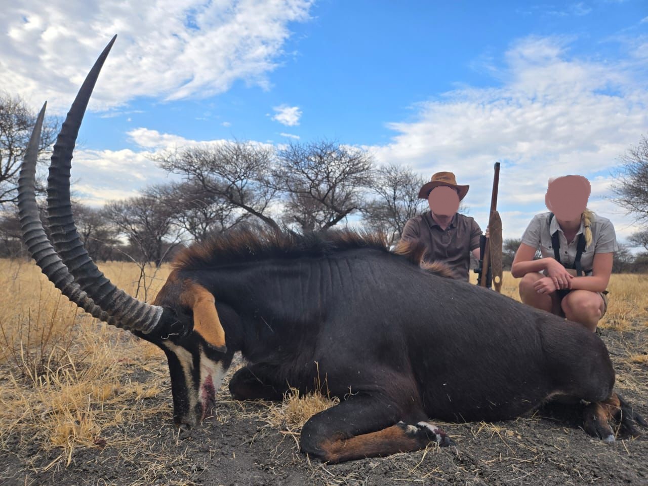 Leopard Hunting in Namibia & Brown Hyena Cancelation Hunt