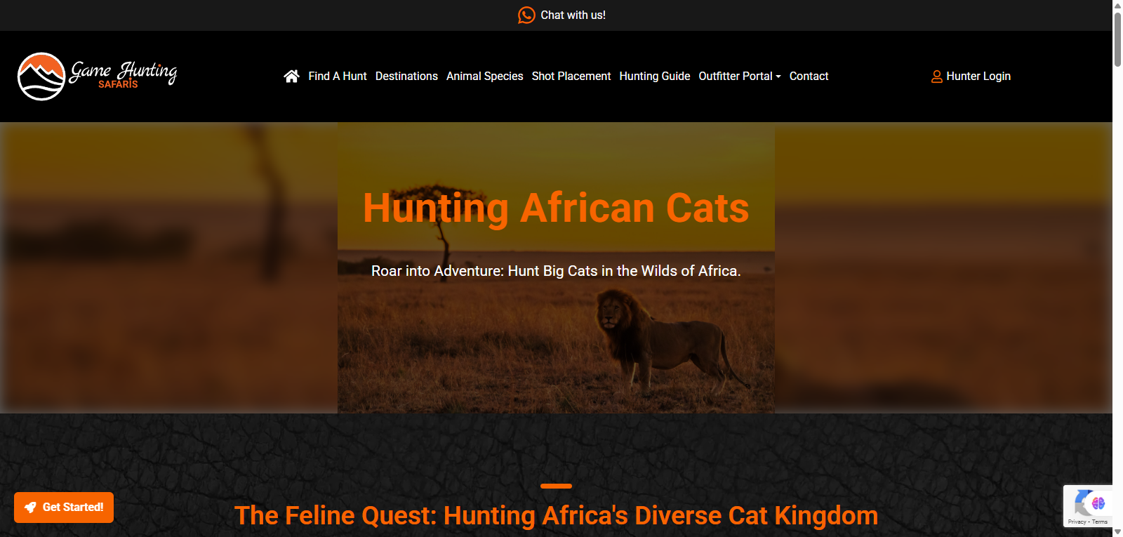 Leopard Hunting in Namibia & Brown Hyena Cancelation Hunt