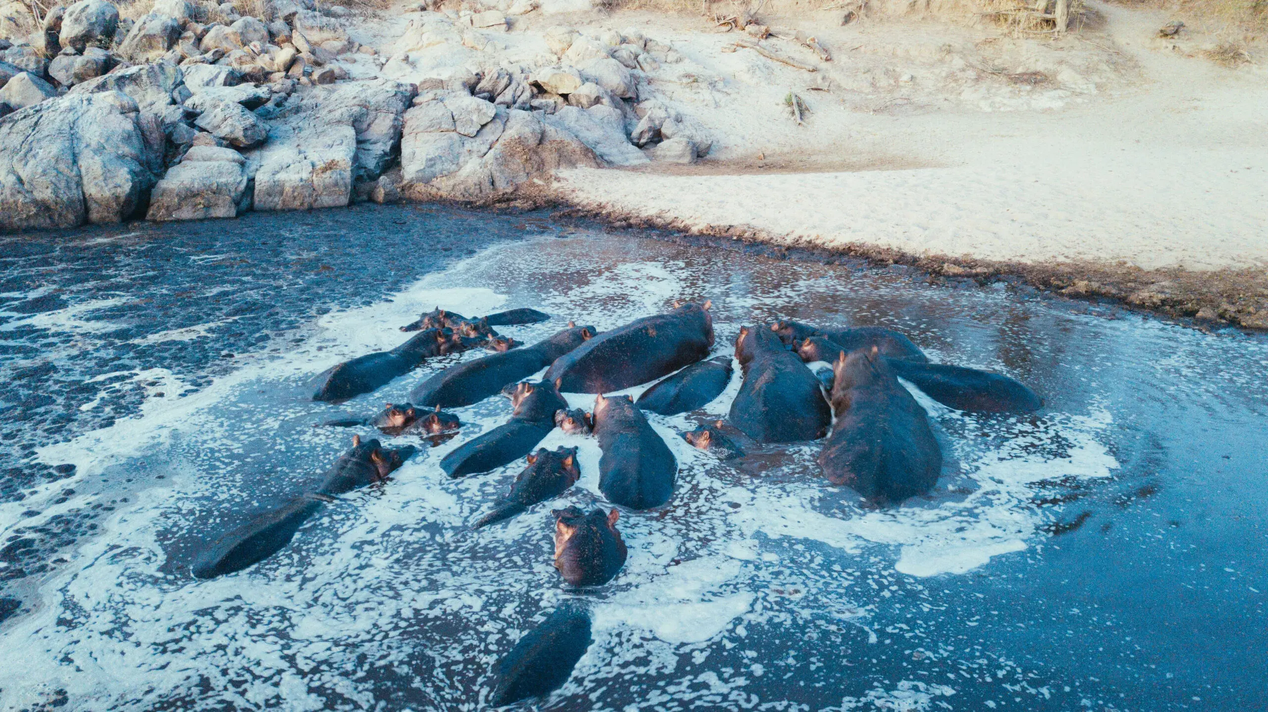 Lazaro, Tanzanian Outfitter