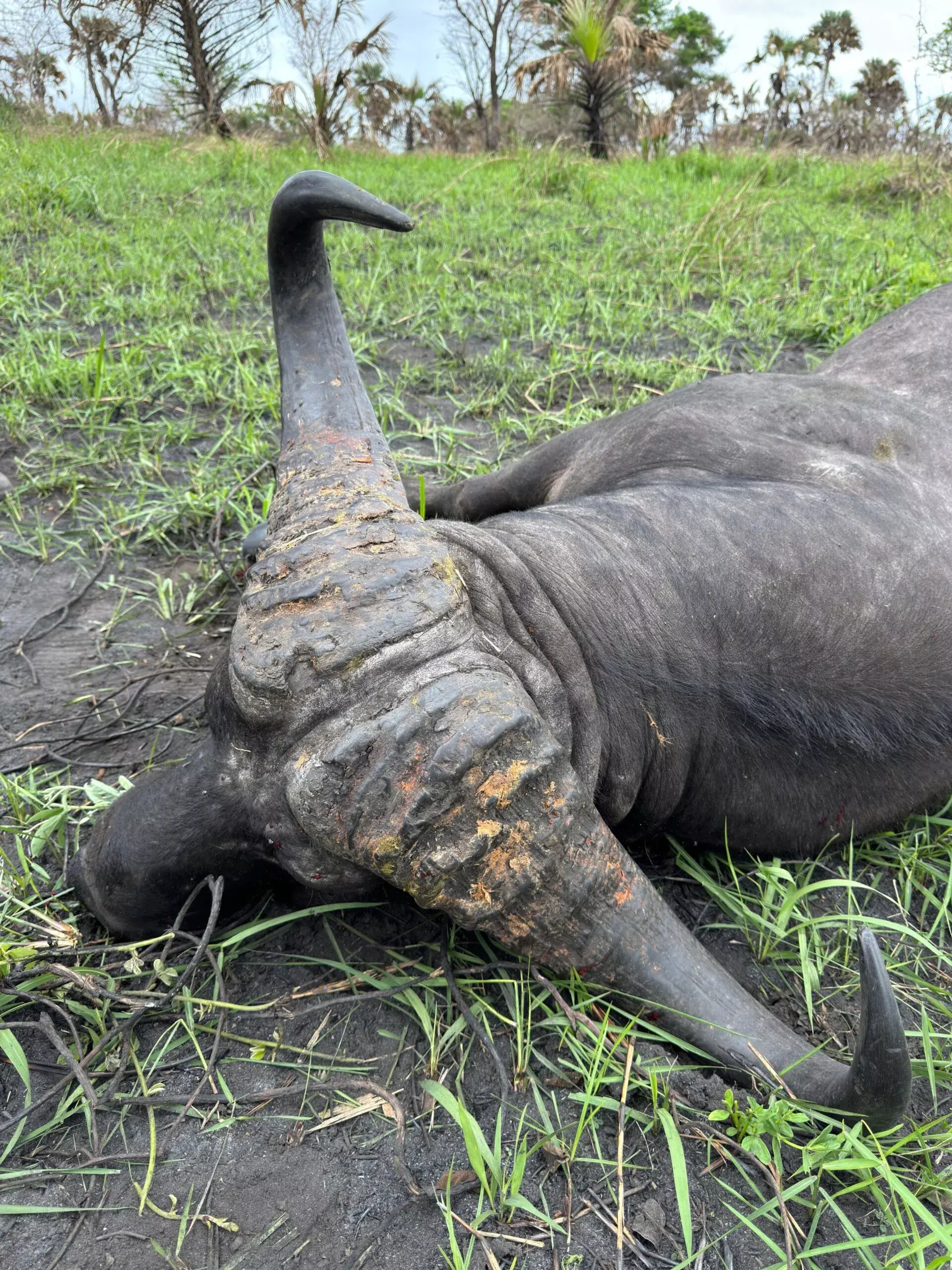 Scott Mozambique Outfitter