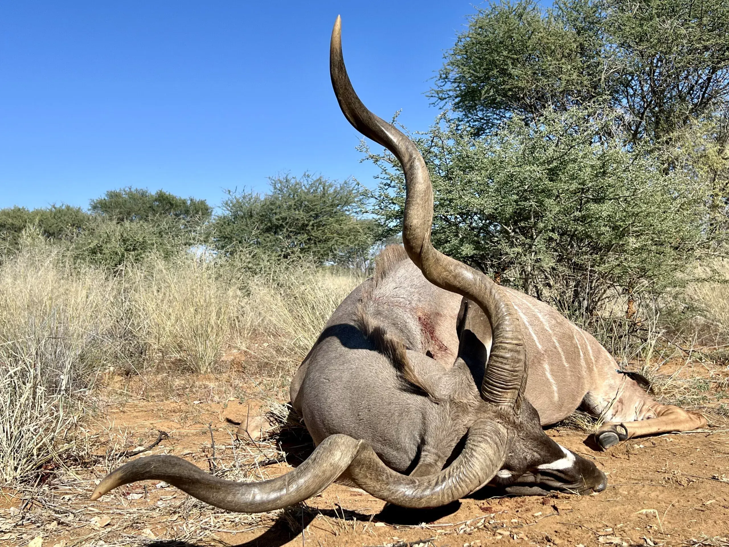 Ruan, Namibian Outfitter