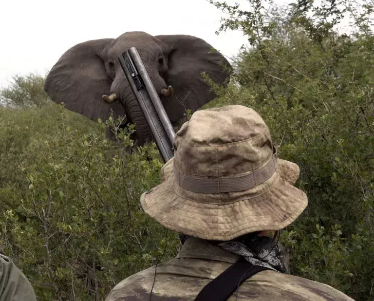 Clive Botswana outfitter