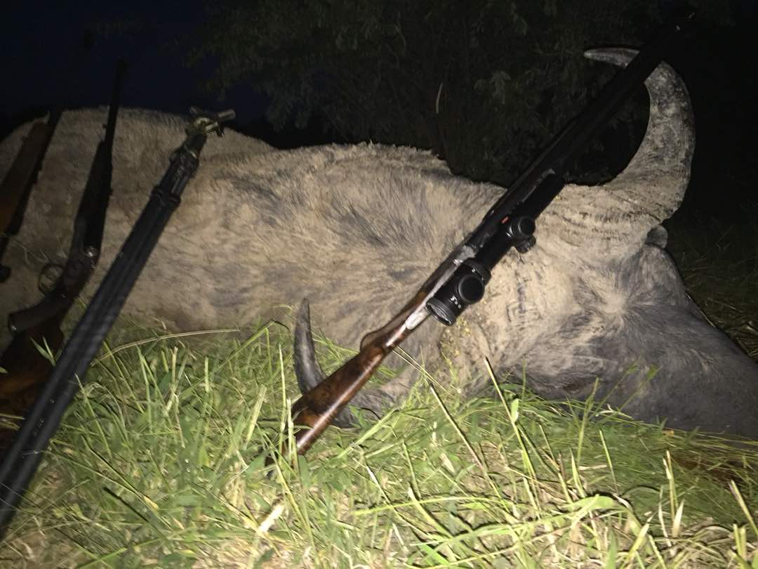 Giles, Outfitter Zimbabwe & Tanzania