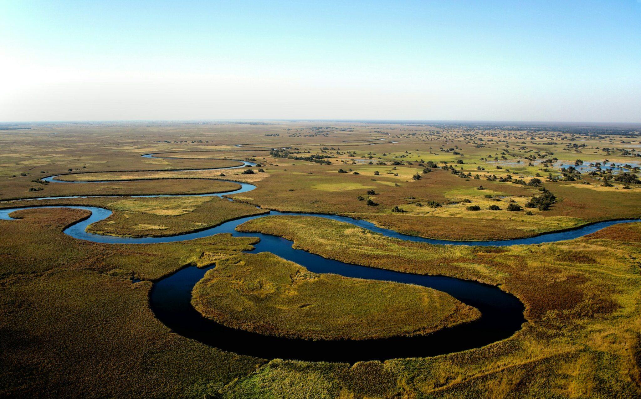 Leopard Hunting in botswana