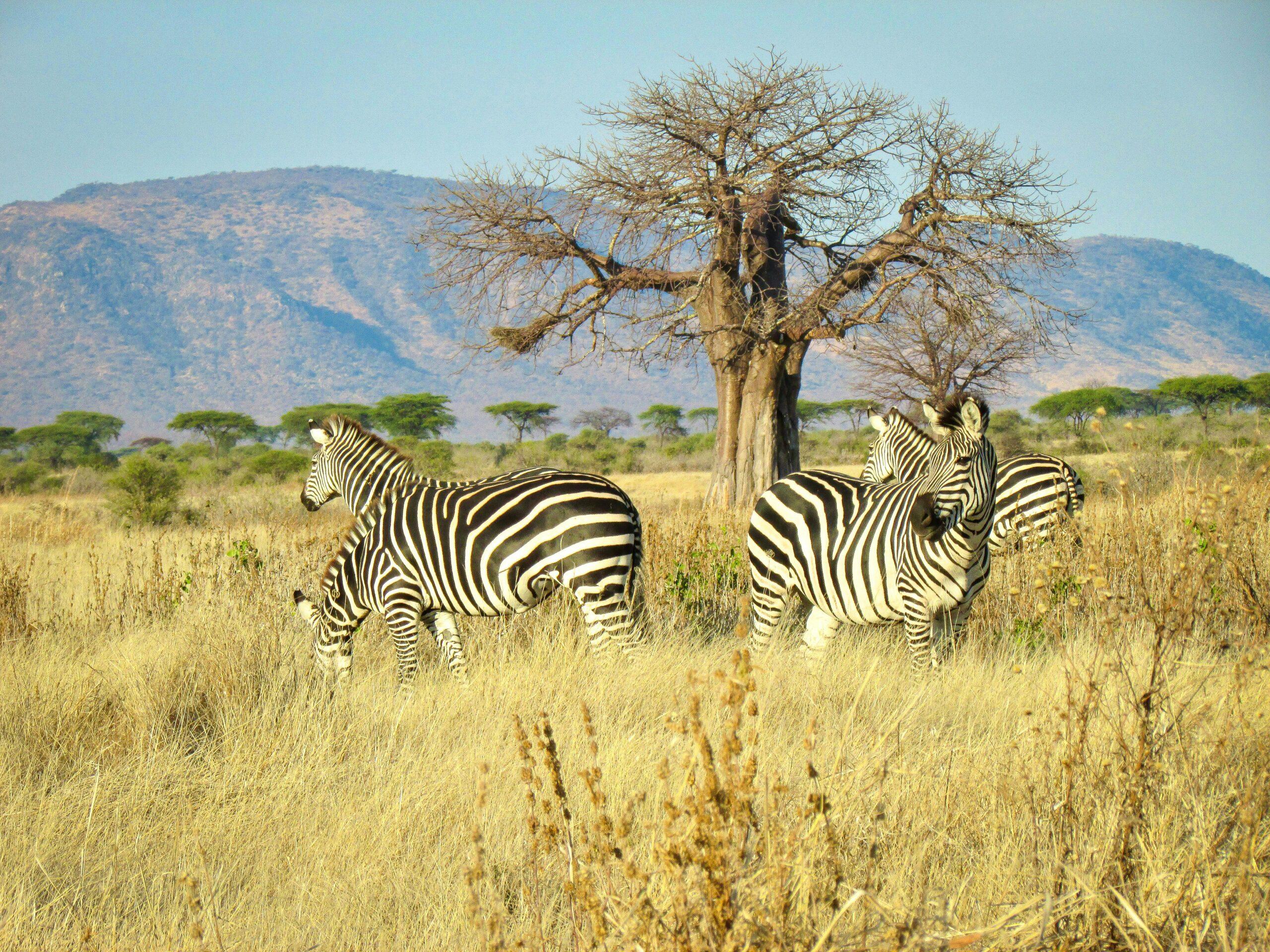 Moments From The Expeditions​