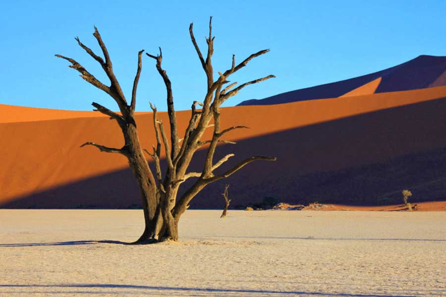 Why Namibia is the Hidden Gem of African Hunting Safaris: Top Game Hunting Safaris Experiences