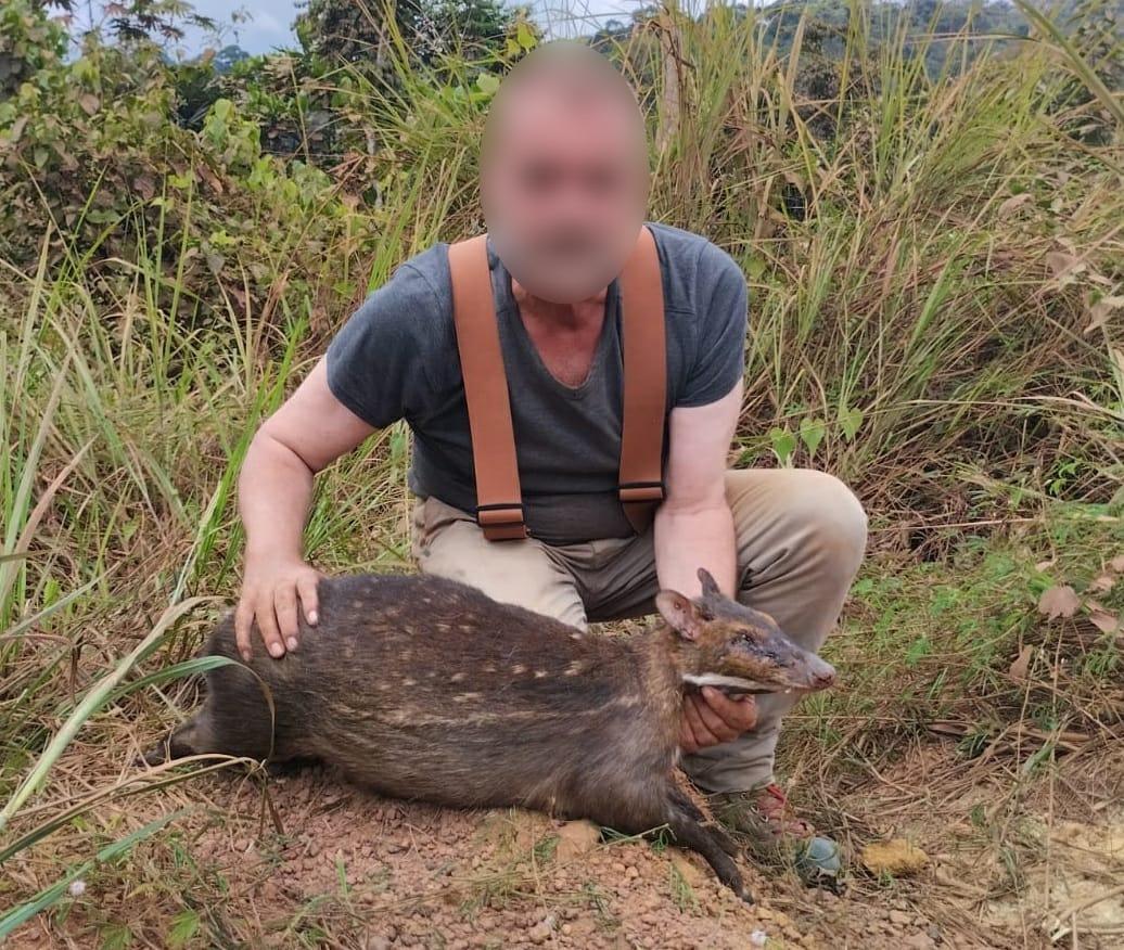 Water Chevrotain Hunting Safaris