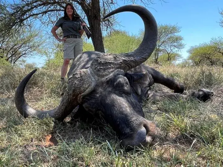 Preparing For Your Mozambique Buffalo Hunting Trip