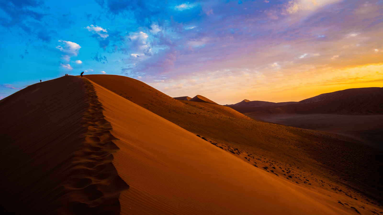 Namibia Hunting Safaris: U.S. Hunter’s Guide