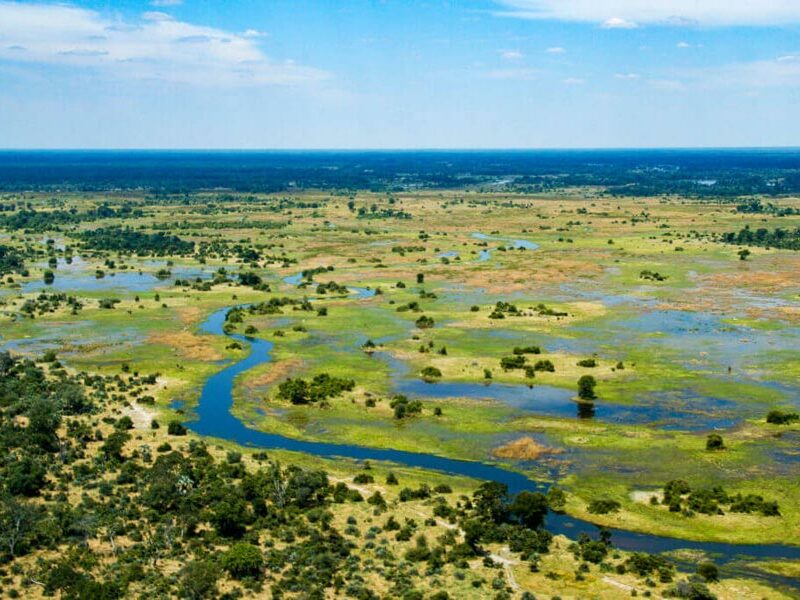 Hunting in Botswana - Okavango Delta
