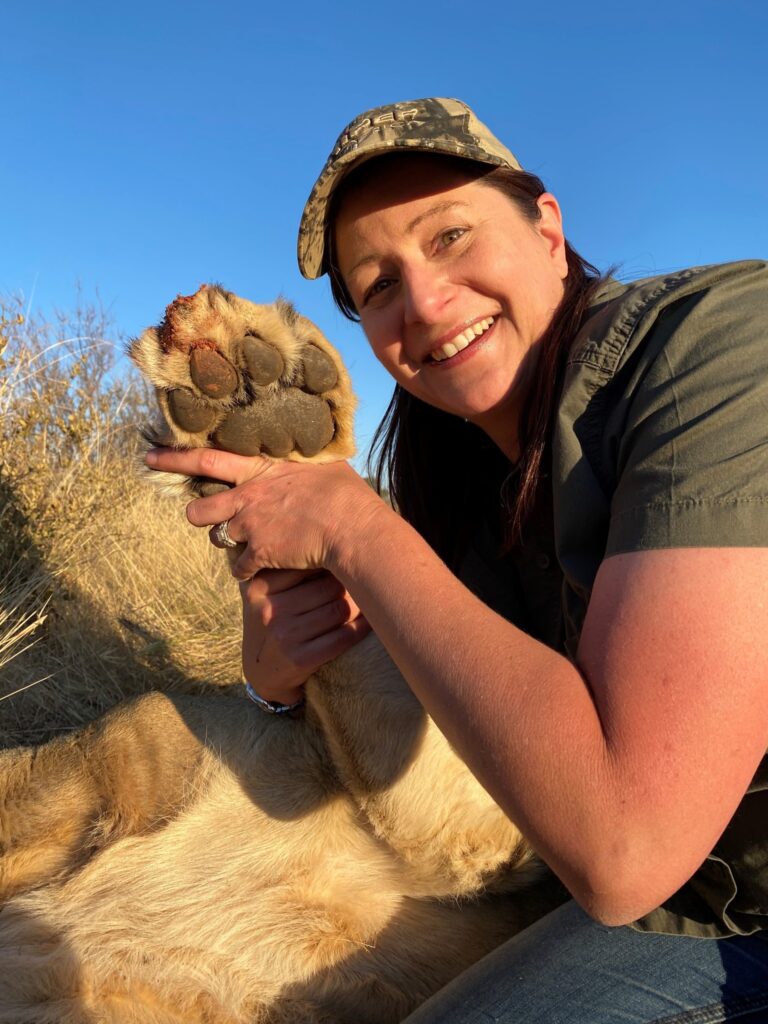 My Lion Hunting Safari A woman's lioness hunting adventure.